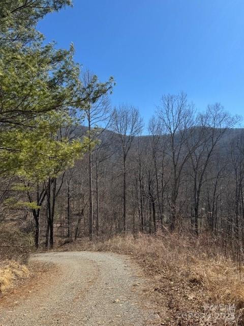 TBD Sorrells Creek Road - Photo 11