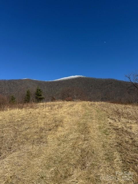 TBD Sorrells Creek Road - Photo 12