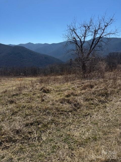 TBD Sorrells Creek Road - Photo 13