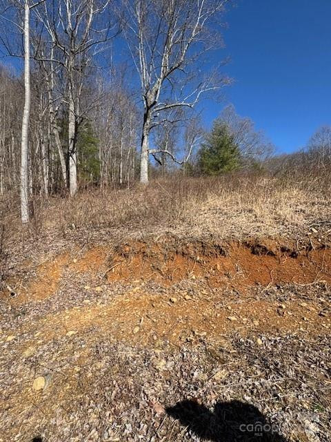 TBD Sorrells Creek Road - Photo 15