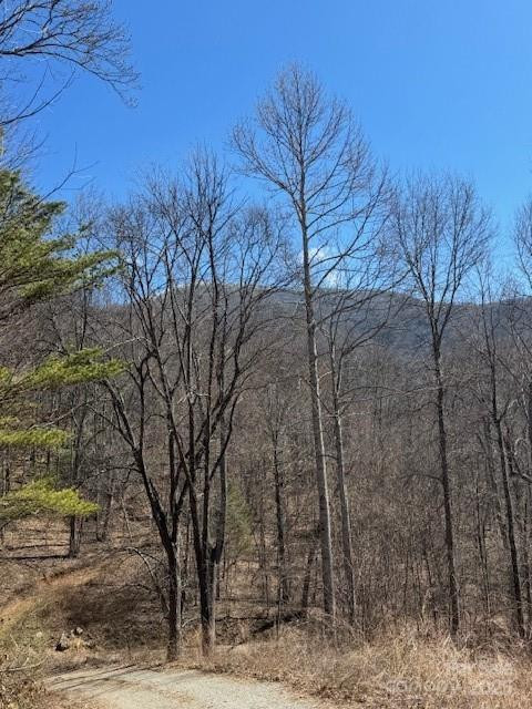 TBD Sorrells Creek Road - Photo 16