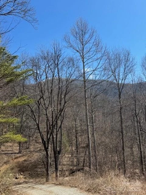TBD Sorrells Creek Road - Photo 16