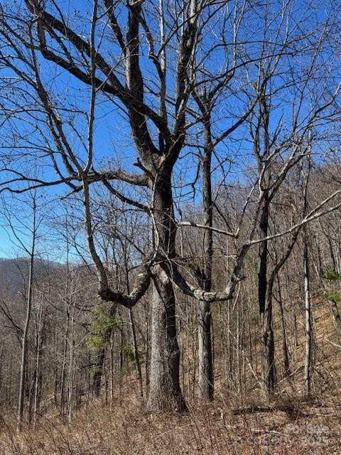 TBD Sorrells Creek Road - Photo 17