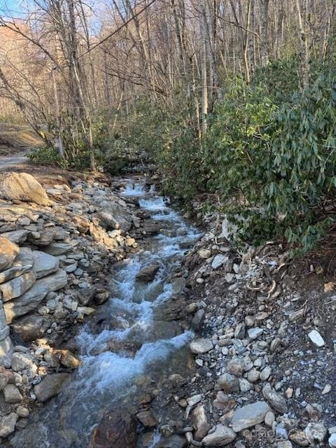 TBD Sorrells Creek Road - Photo 18