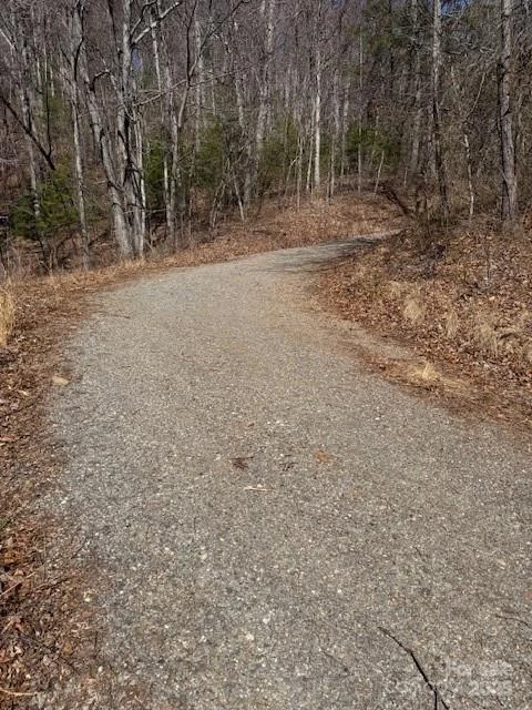 TBD Sorrells Creek Road - Photo 19