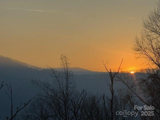 TBD Sorrells Creek Road - Photo 3