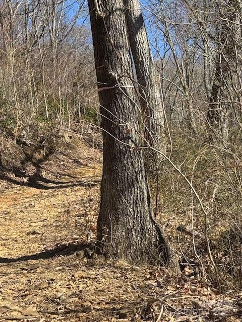 TBD Sorrells Creek Road - Photo 21