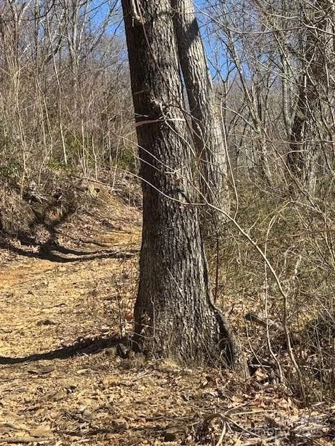 TBD Sorrells Creek Road - Photo 21