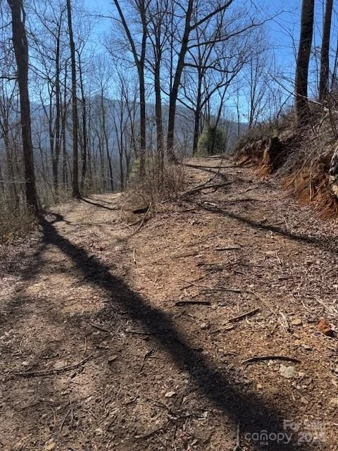 TBD Sorrells Creek Road - Photo 23