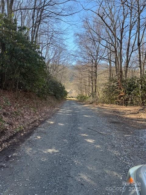 TBD Sorrells Creek Road - Photo 25