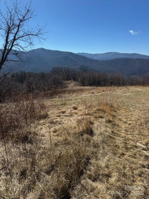 TBD Sorrells Creek Road - Photo 26