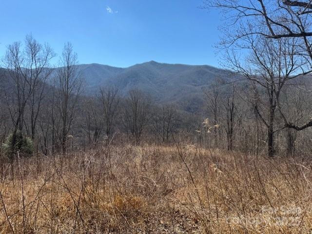 TBD Sorrells Creek Road - Photo 4