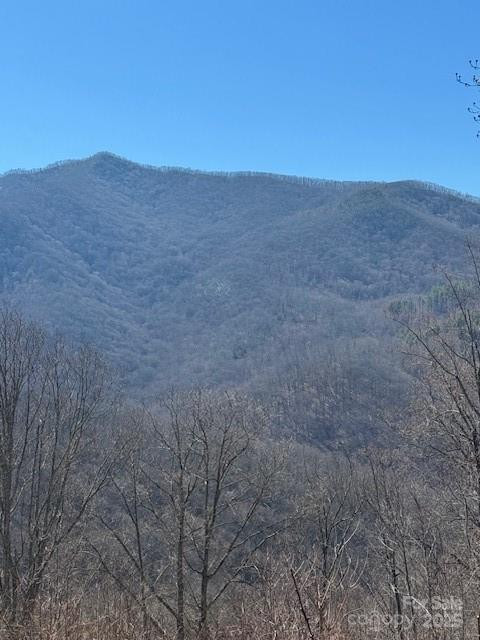 TBD Sorrells Creek Road - Photo 5