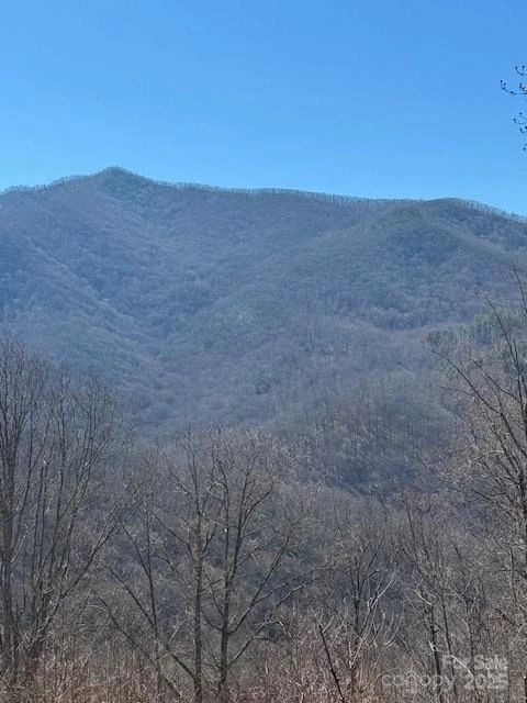 TBD Sorrells Creek Road - Photo 5