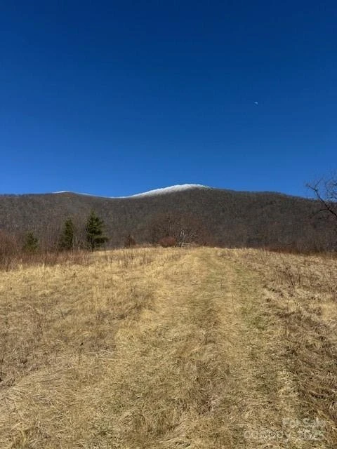 TBD Sorrells Creek Road - Photo 6