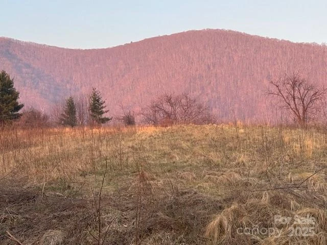 TBD Sorrells Creek Road - Photo 7