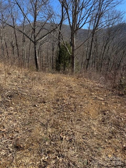 TBD Sorrells Creek Road - Photo 8