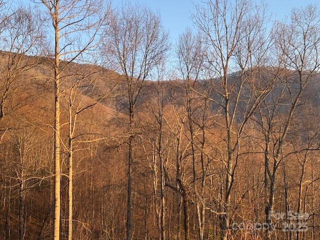 TBD Sorrells Creek Road - Photo 9