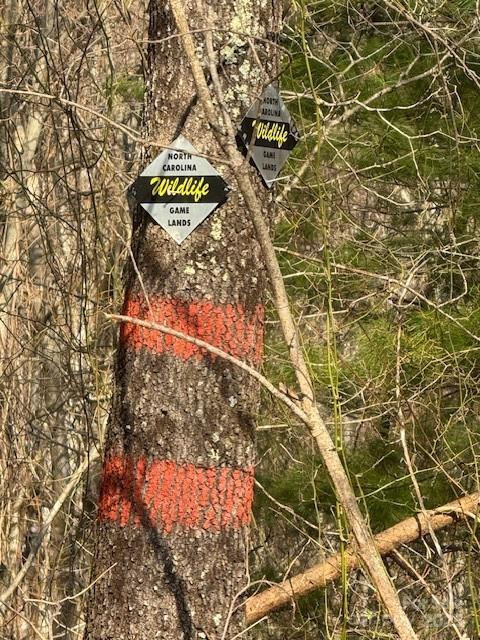 TBD Sorrells Creek Road - Photo 10