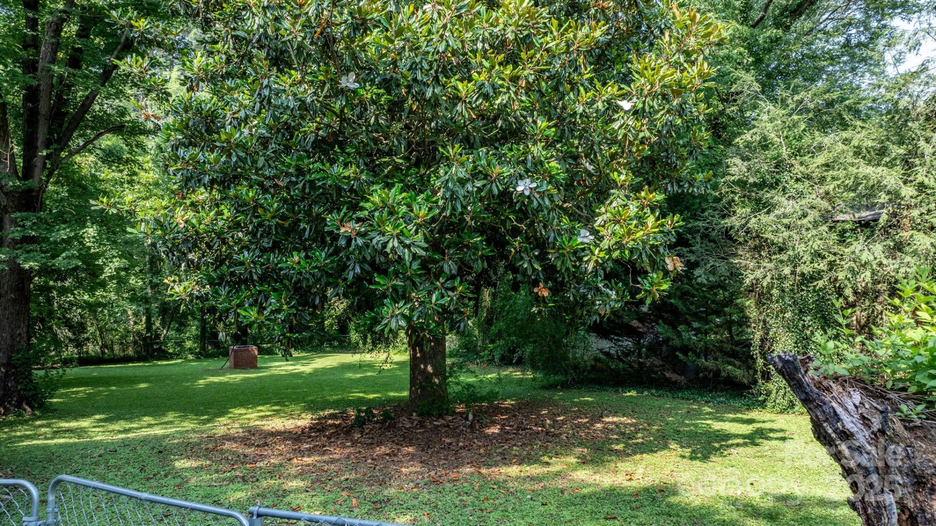 313 Main Street - Photo 36