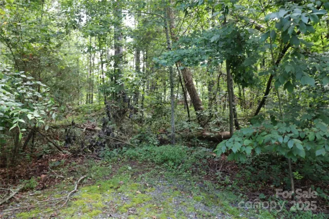 0 Shady Nook Circle, Forest City, NC, 28043