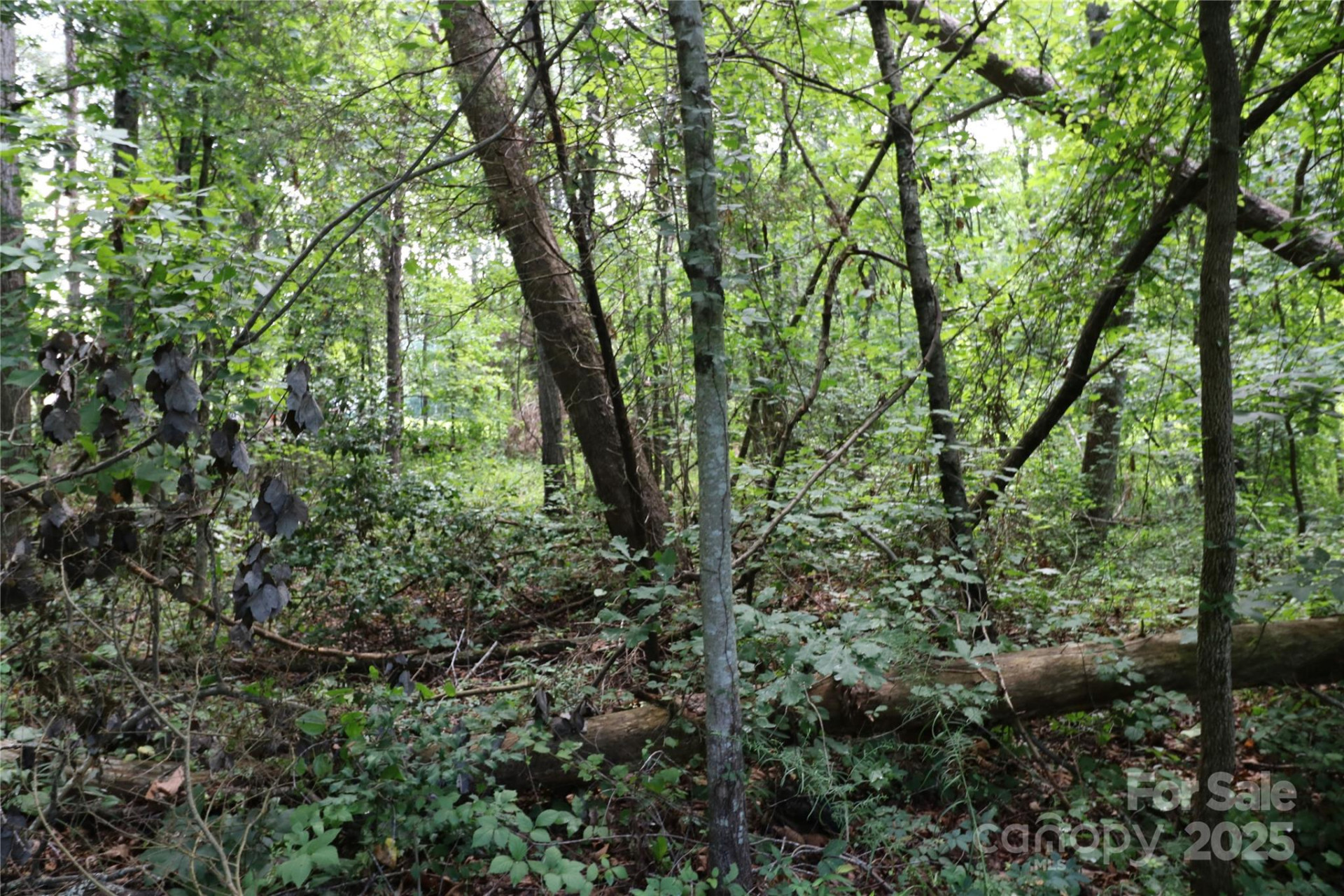 0 Shady Nook Circle - Photo 2