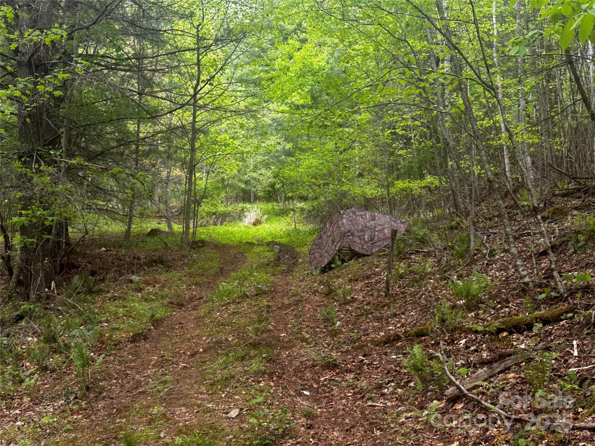 00 McPeters Lane - Photo 2