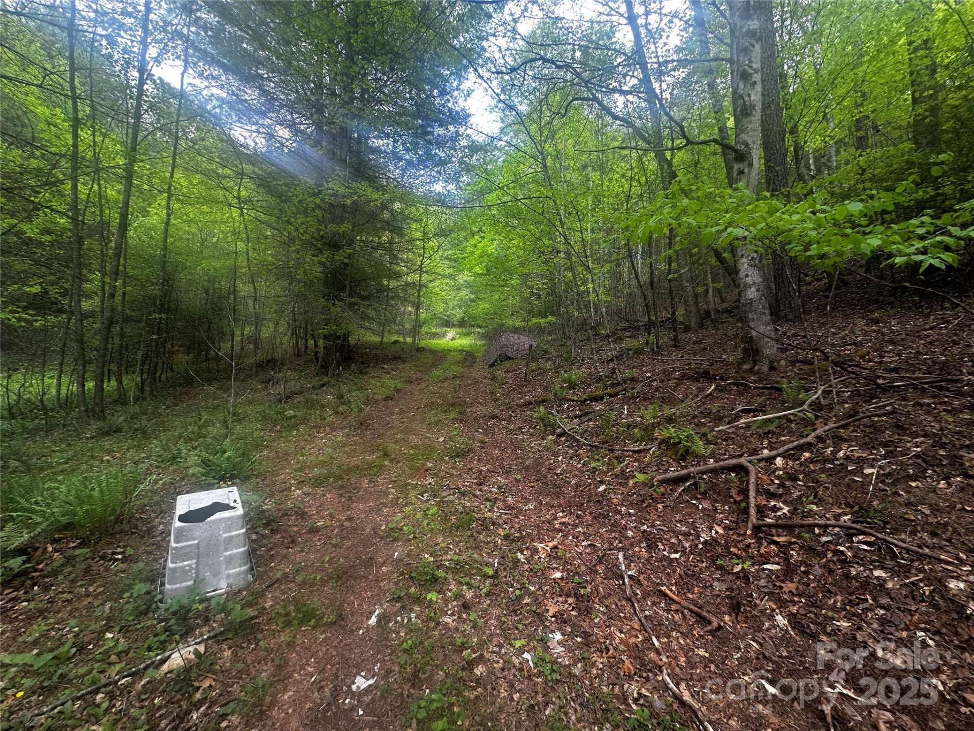 00 McPeters Lane - Photo 11