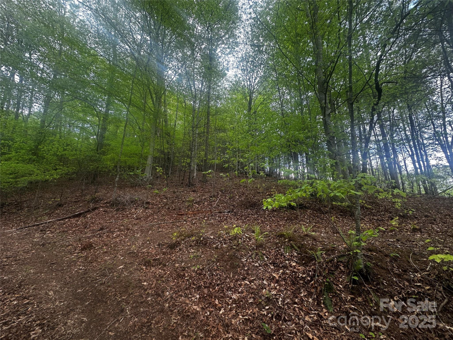 00 McPeters Lane - Photo 12