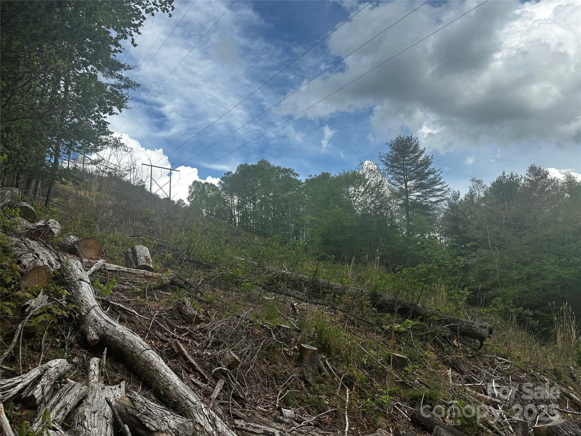 00 McPeters Lane - Photo 14