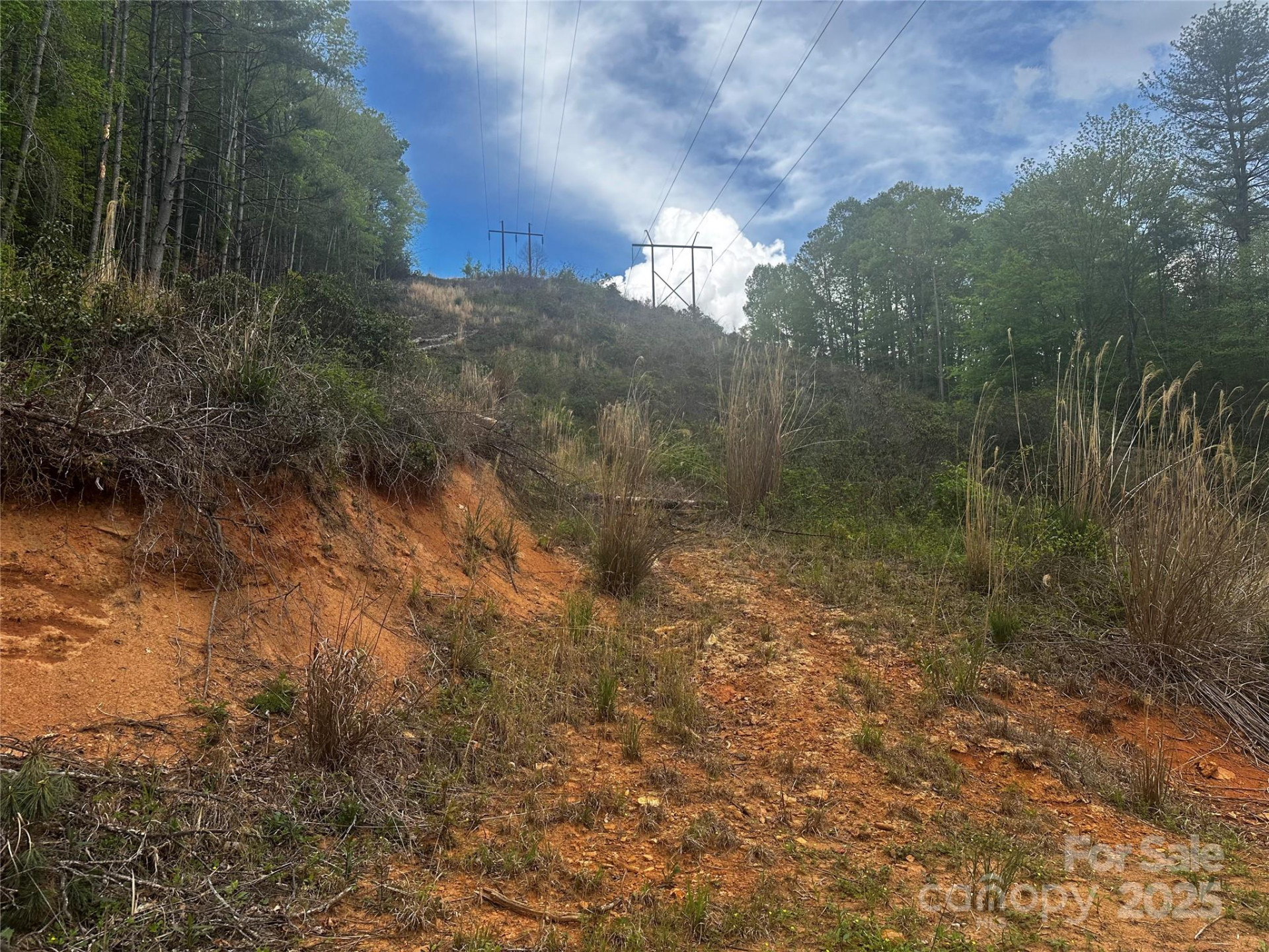 00 McPeters Lane - Photo 16