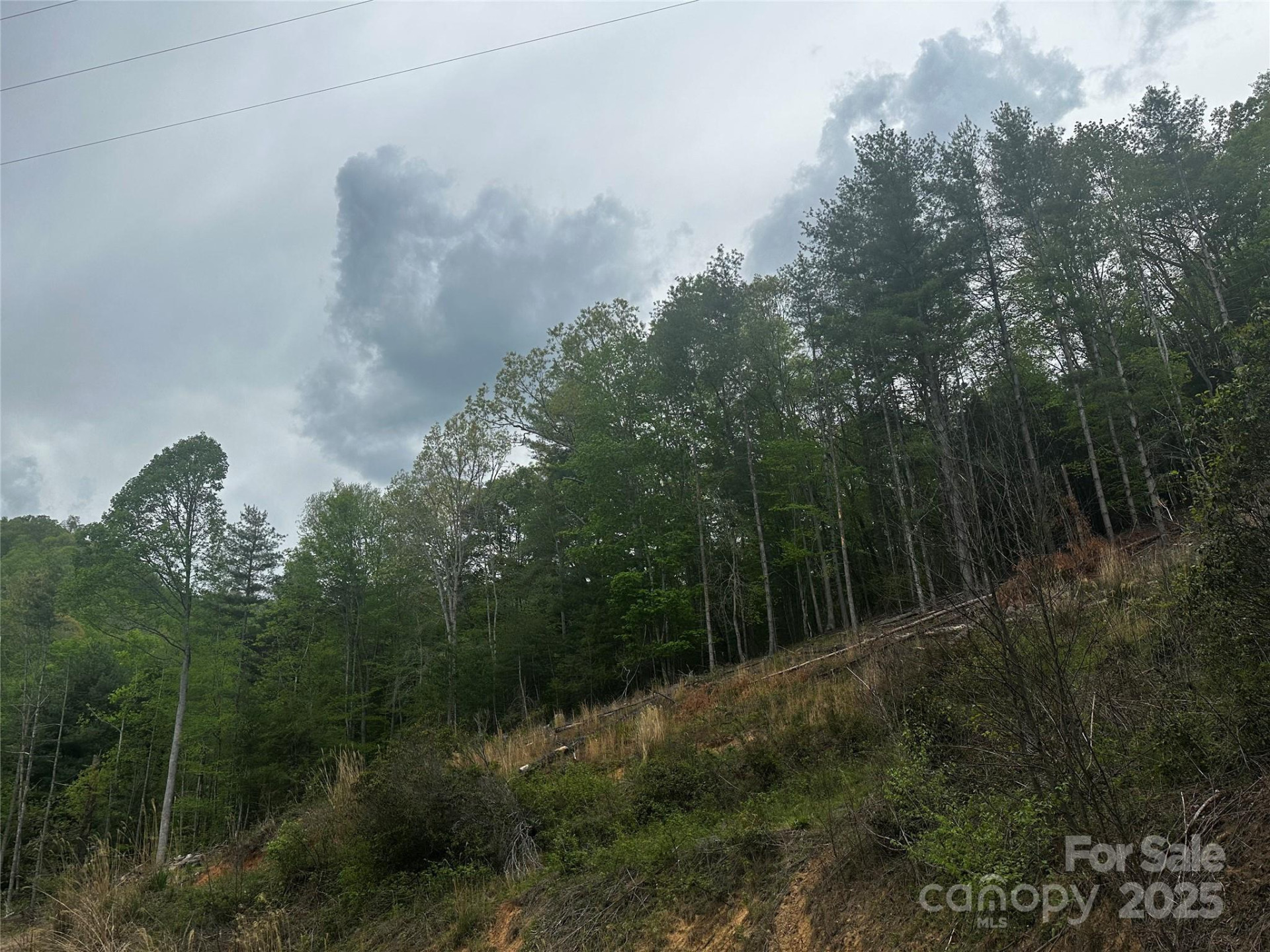 00 McPeters Lane - Photo 18