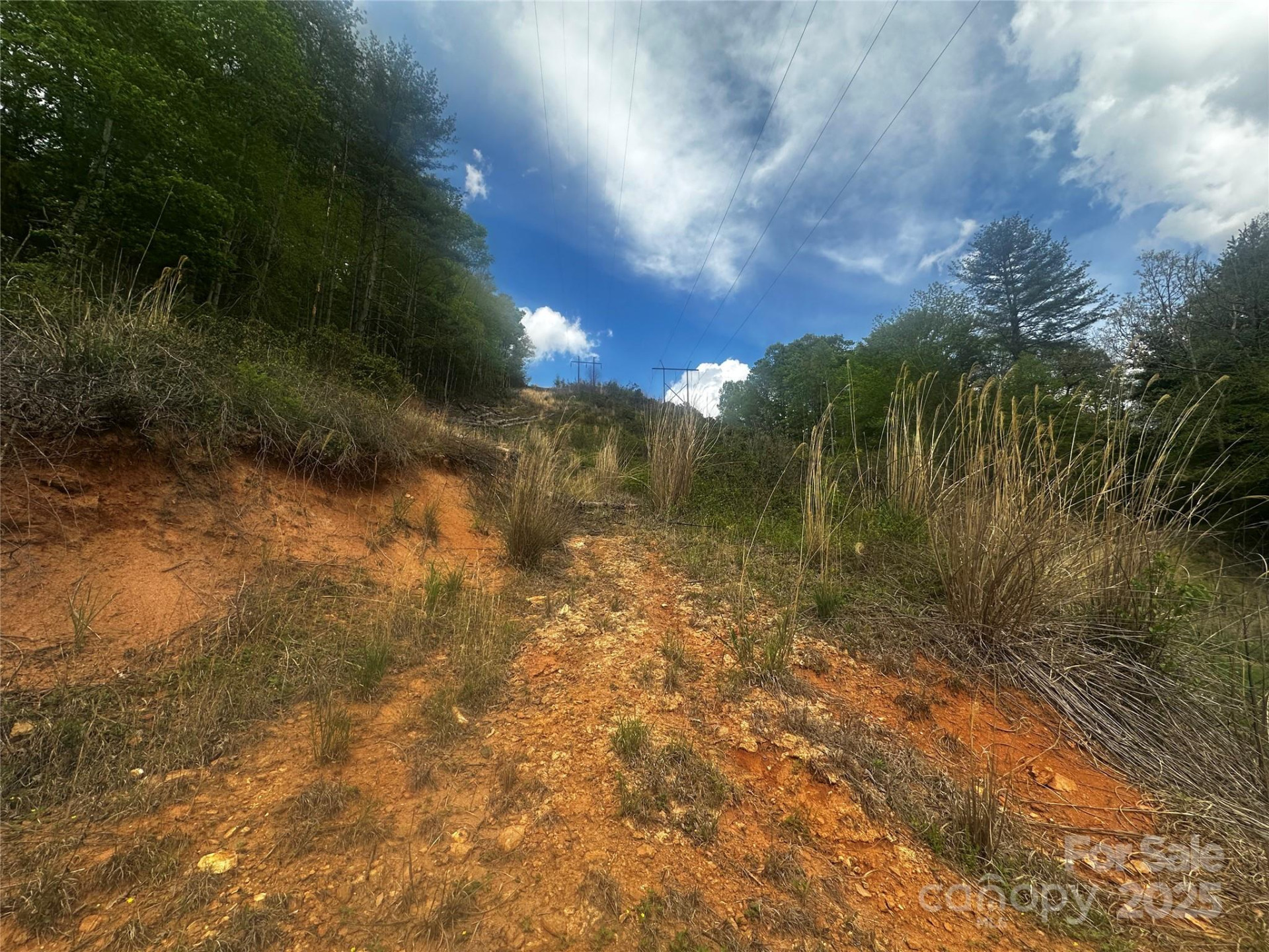 00 McPeters Lane - Photo 4