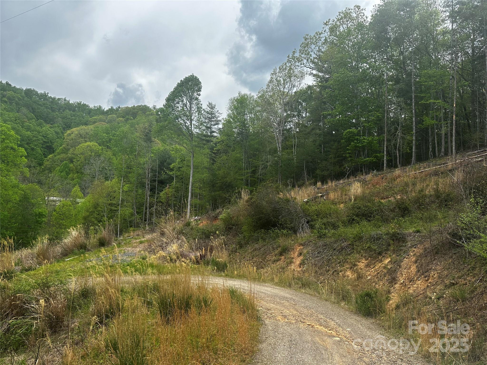 00 McPeters Lane - Photo 5