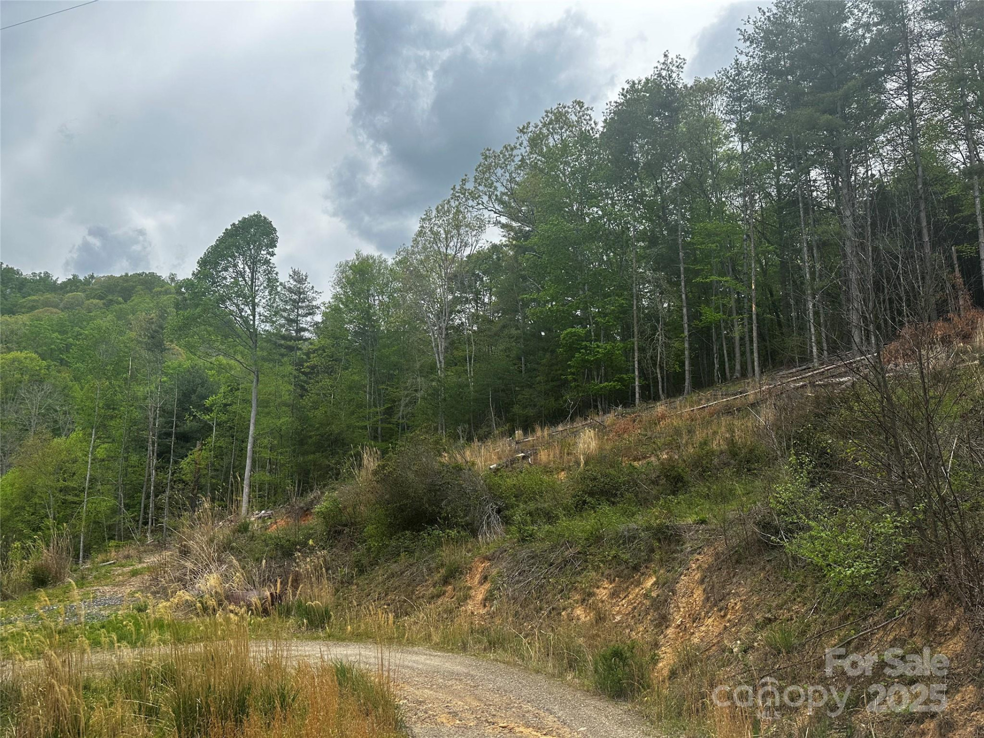 00 McPeters Lane - Photo 6