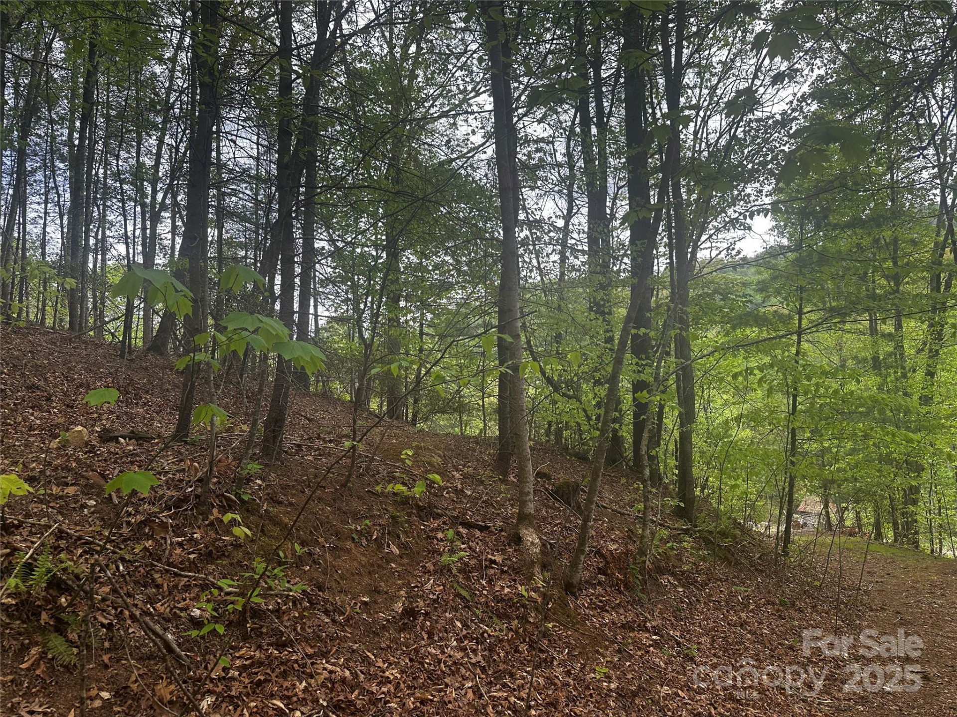 00 McPeters Lane - Photo 8