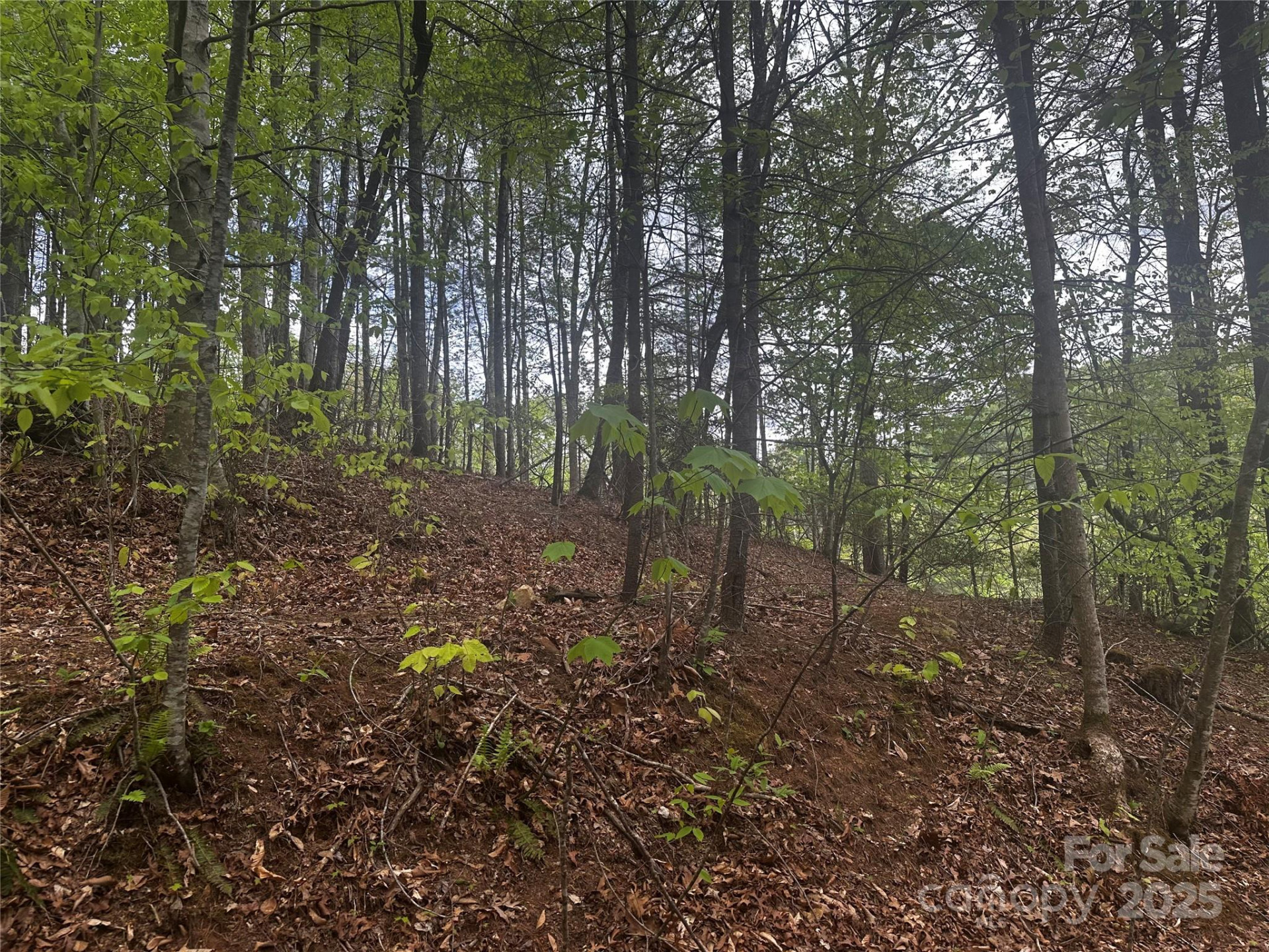 00 McPeters Lane - Photo 9