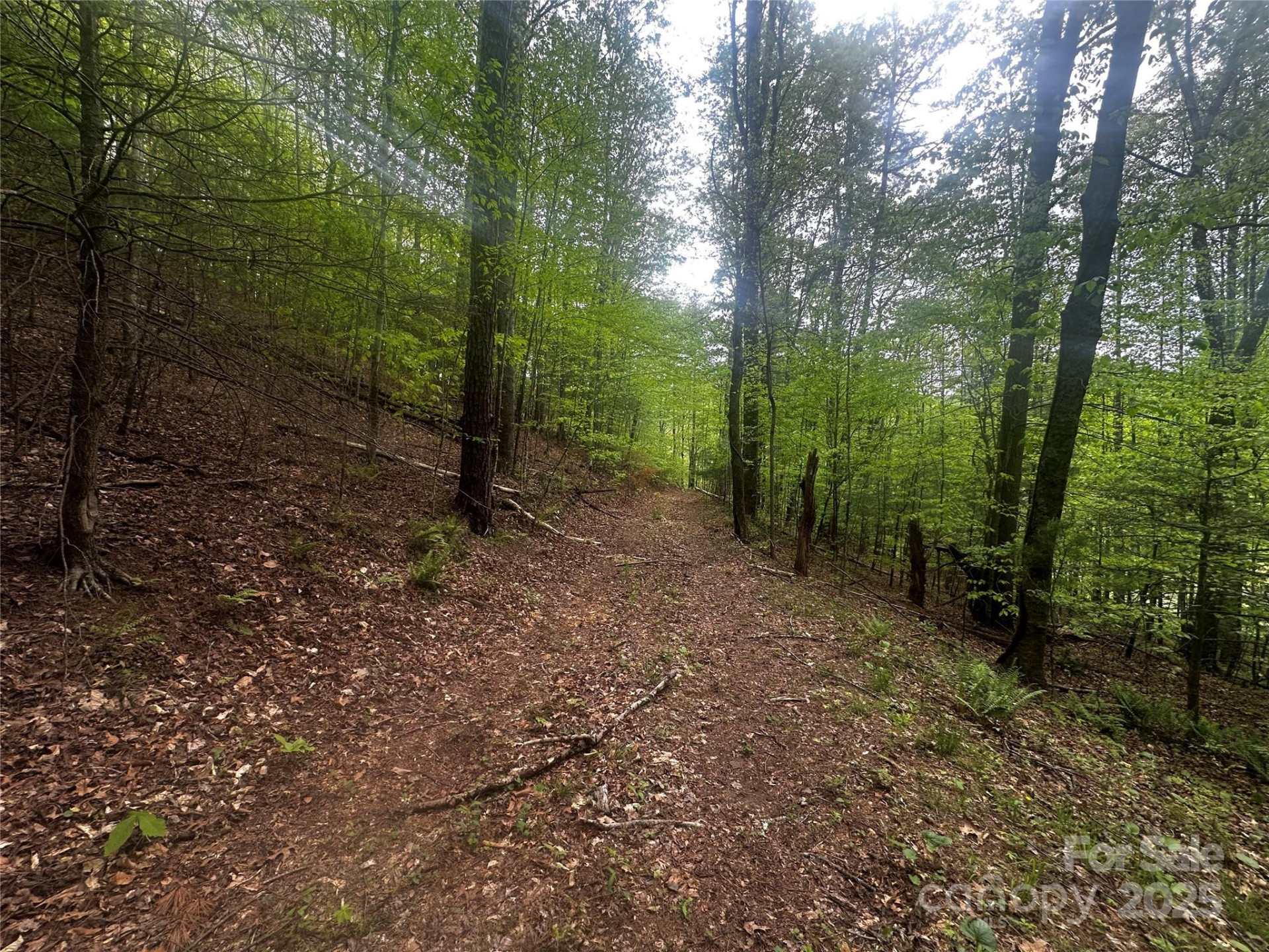 00 McPeters Lane - Photo 10