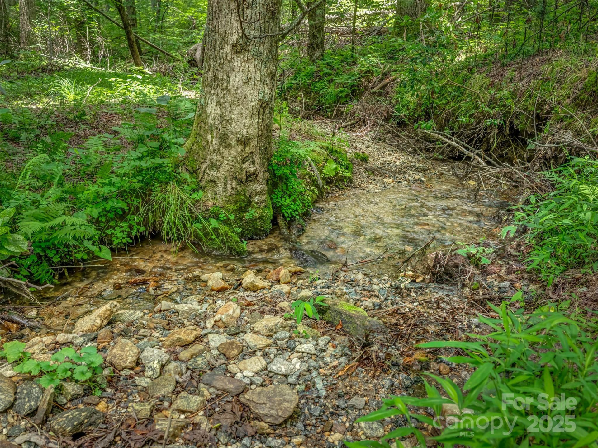 186 Sloshy Branch Trail - Photo 28
