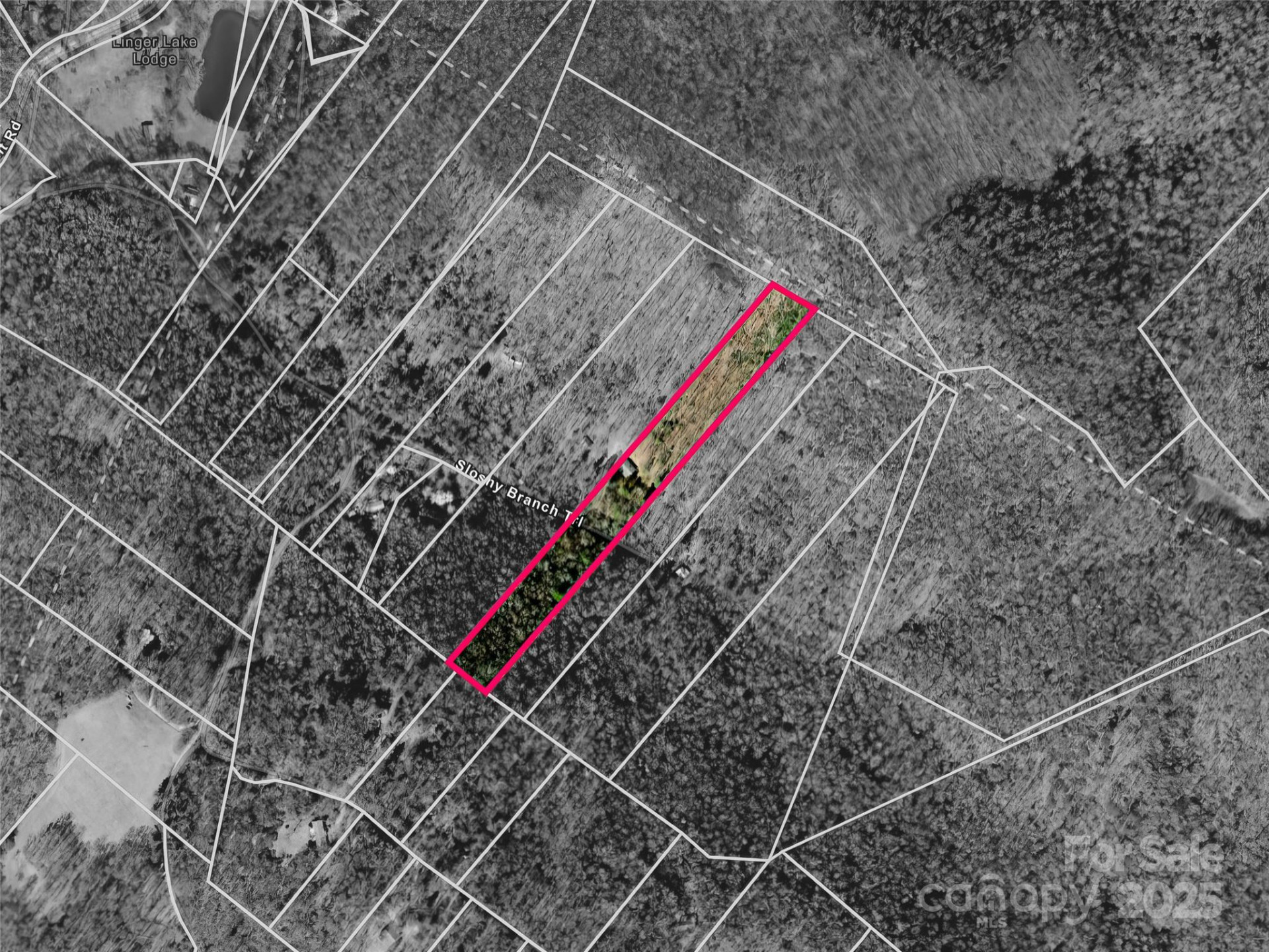 186 Sloshy Branch Trail - Photo 29