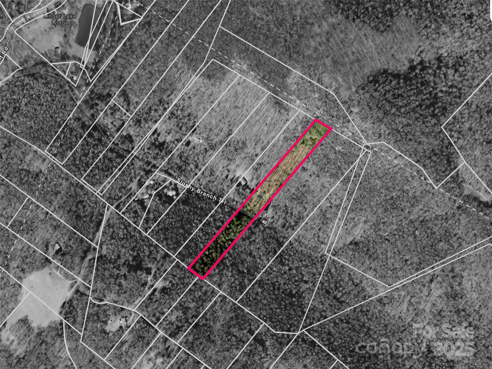 186 Sloshy Branch Trail - Photo 30