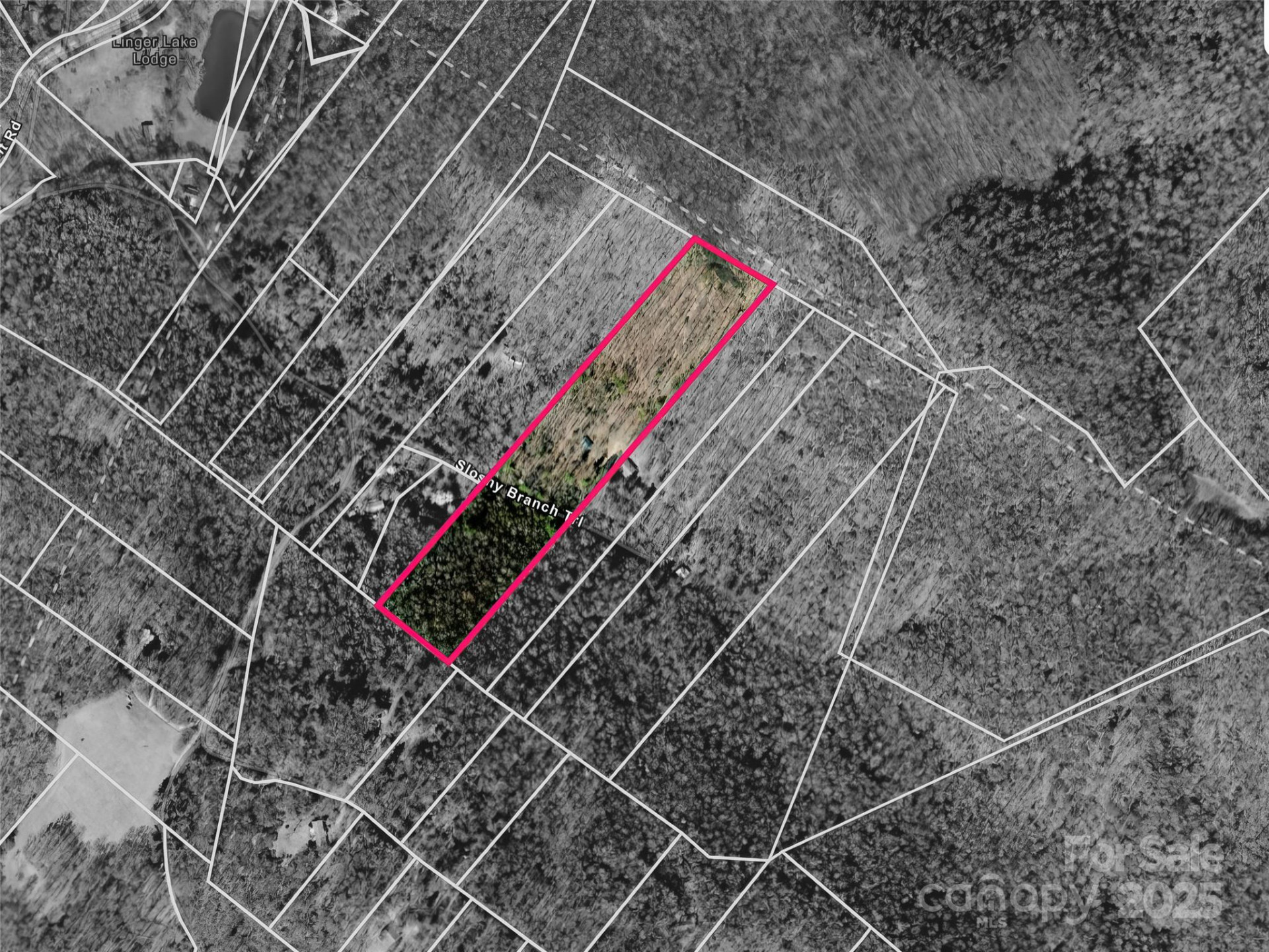 186 Sloshy Branch Trail - Photo 31