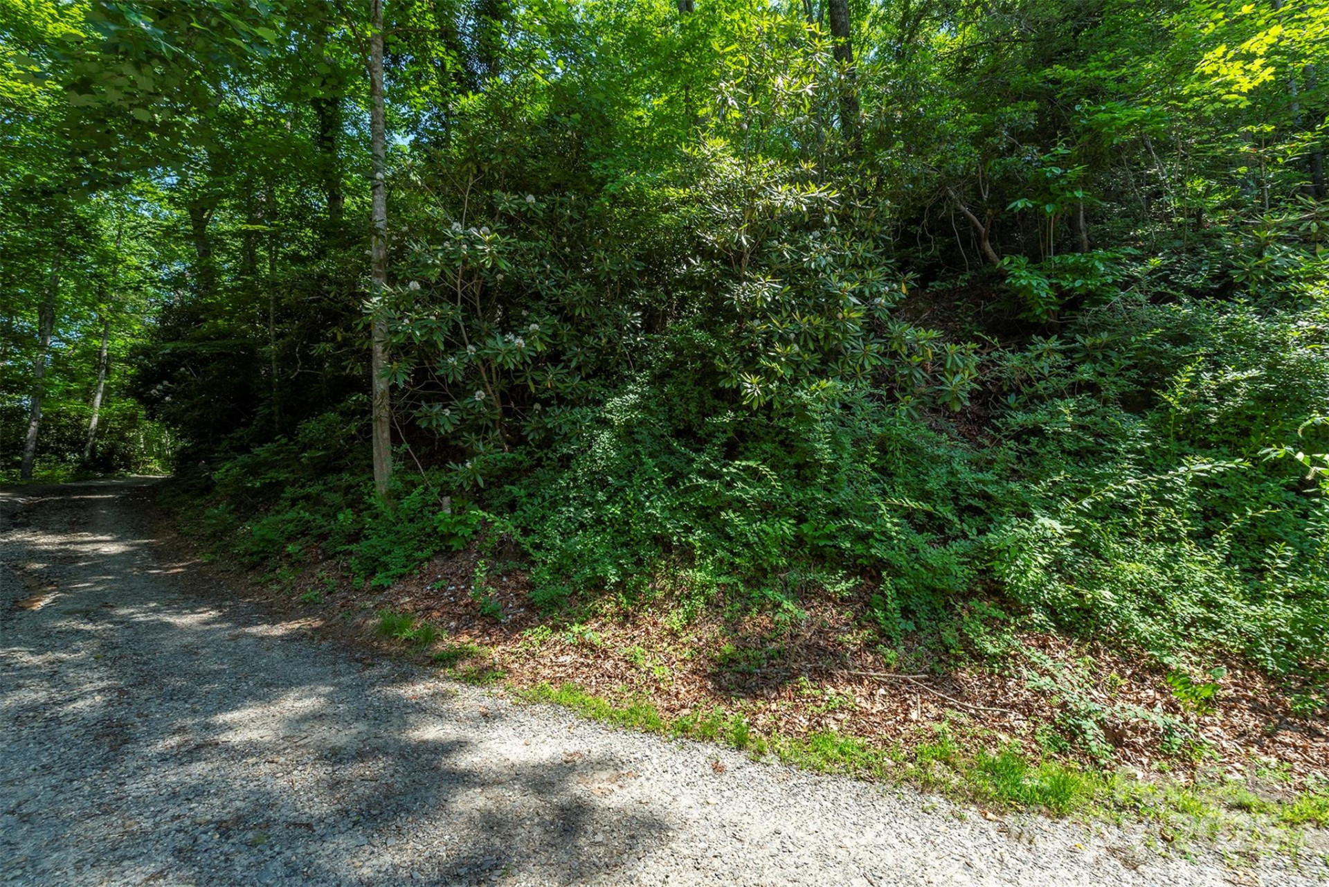 5 Roy Lane - Photo 2