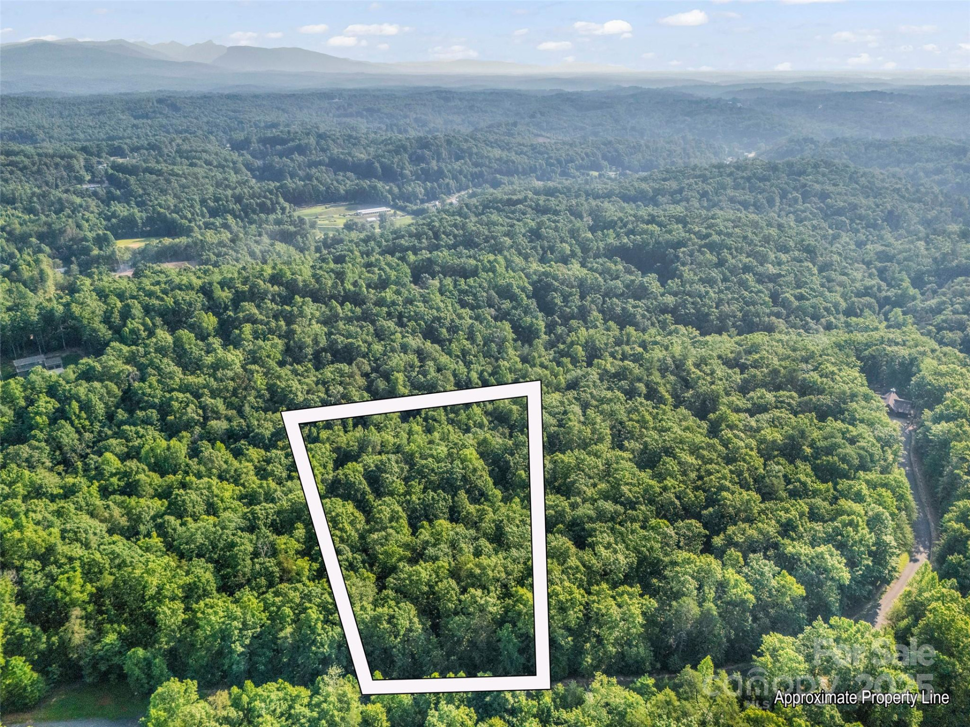 0 Forest Country Drive #Lot 49 - Photo 2