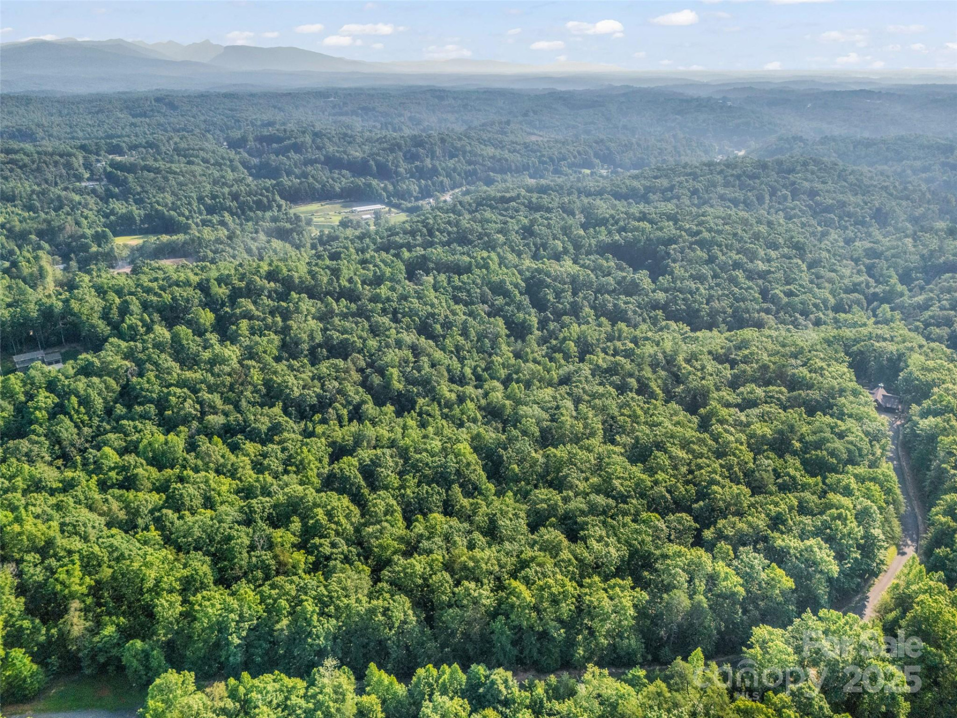 0 Forest Country Drive #Lot 49 - Photo 11