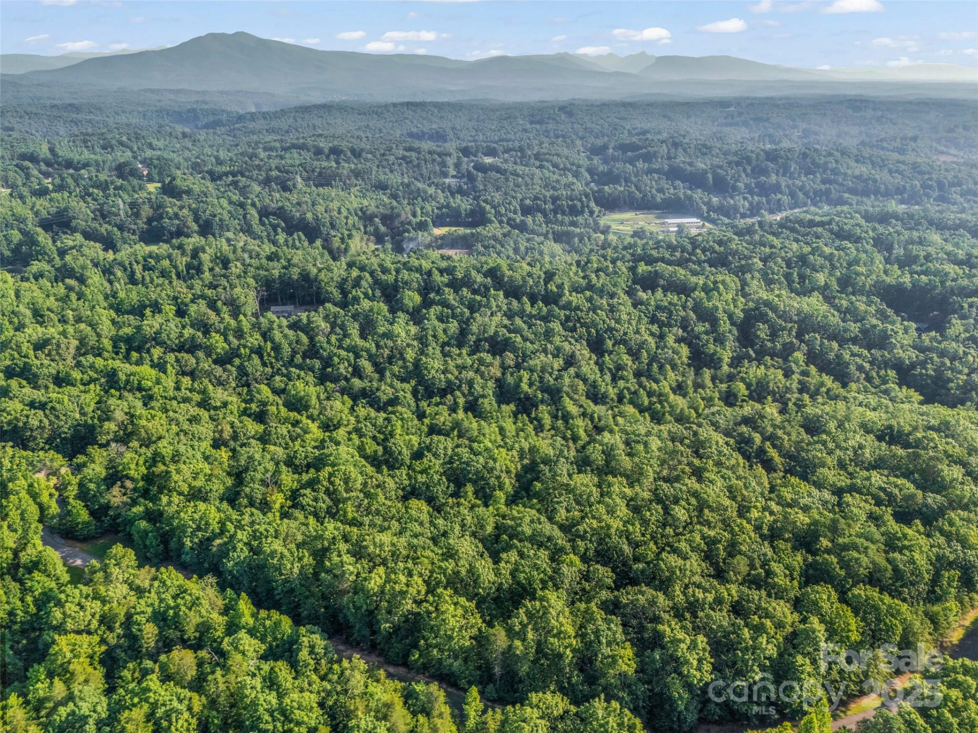 0 Forest Country Drive #Lot 49 - Photo 12