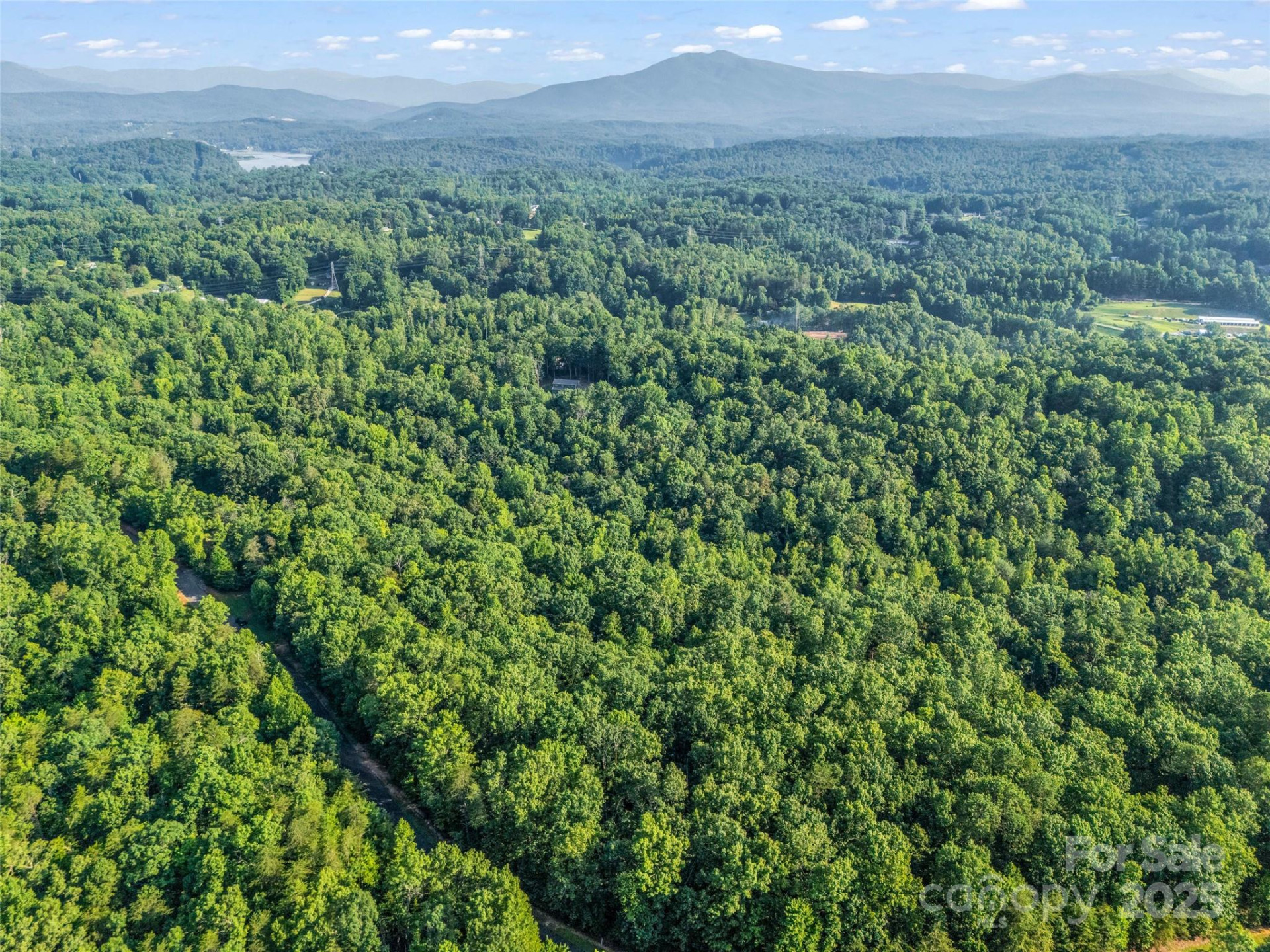 0 Forest Country Drive #Lot 49 - Photo 13