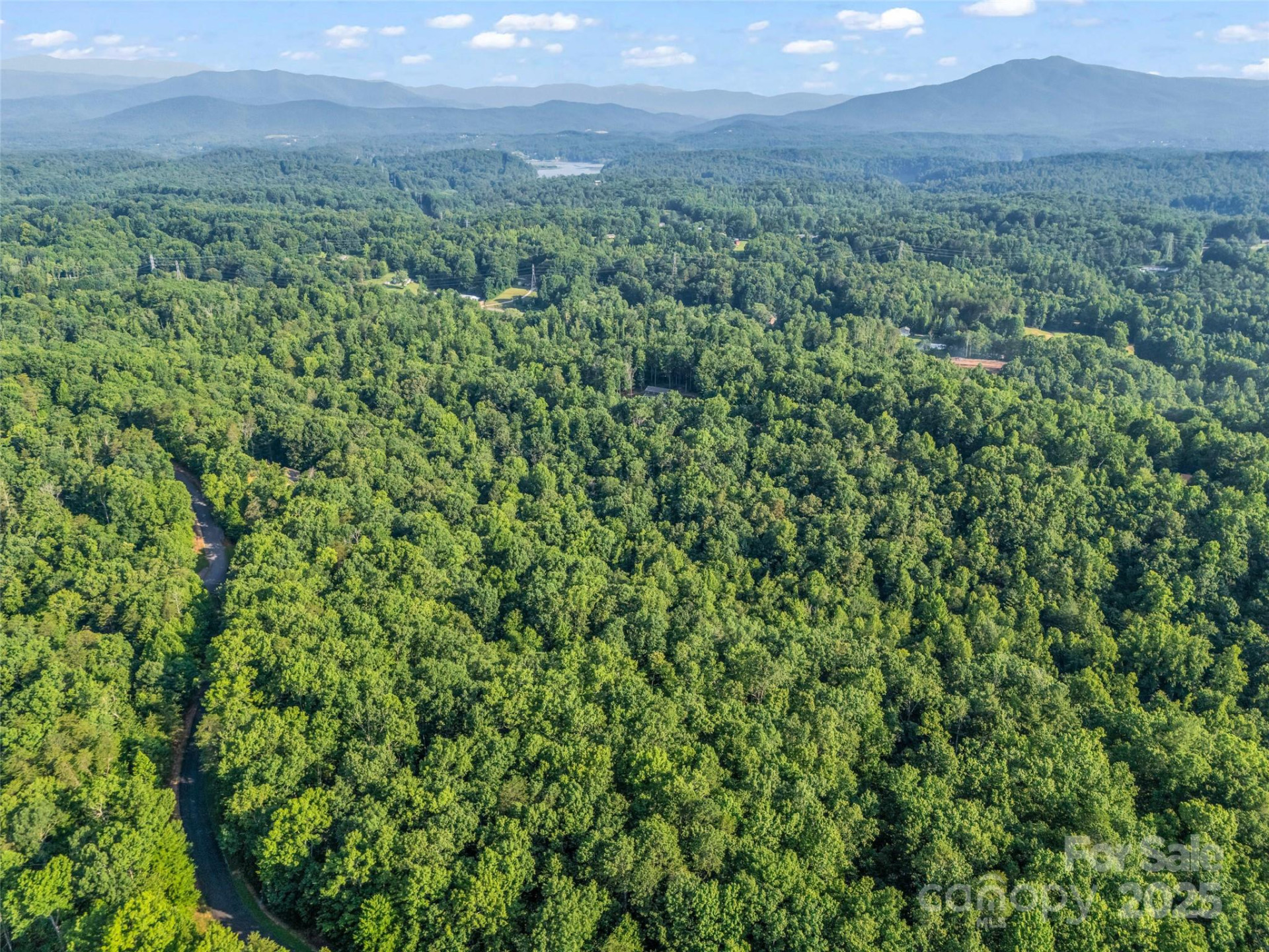 0 Forest Country Drive #Lot 49 - Photo 14