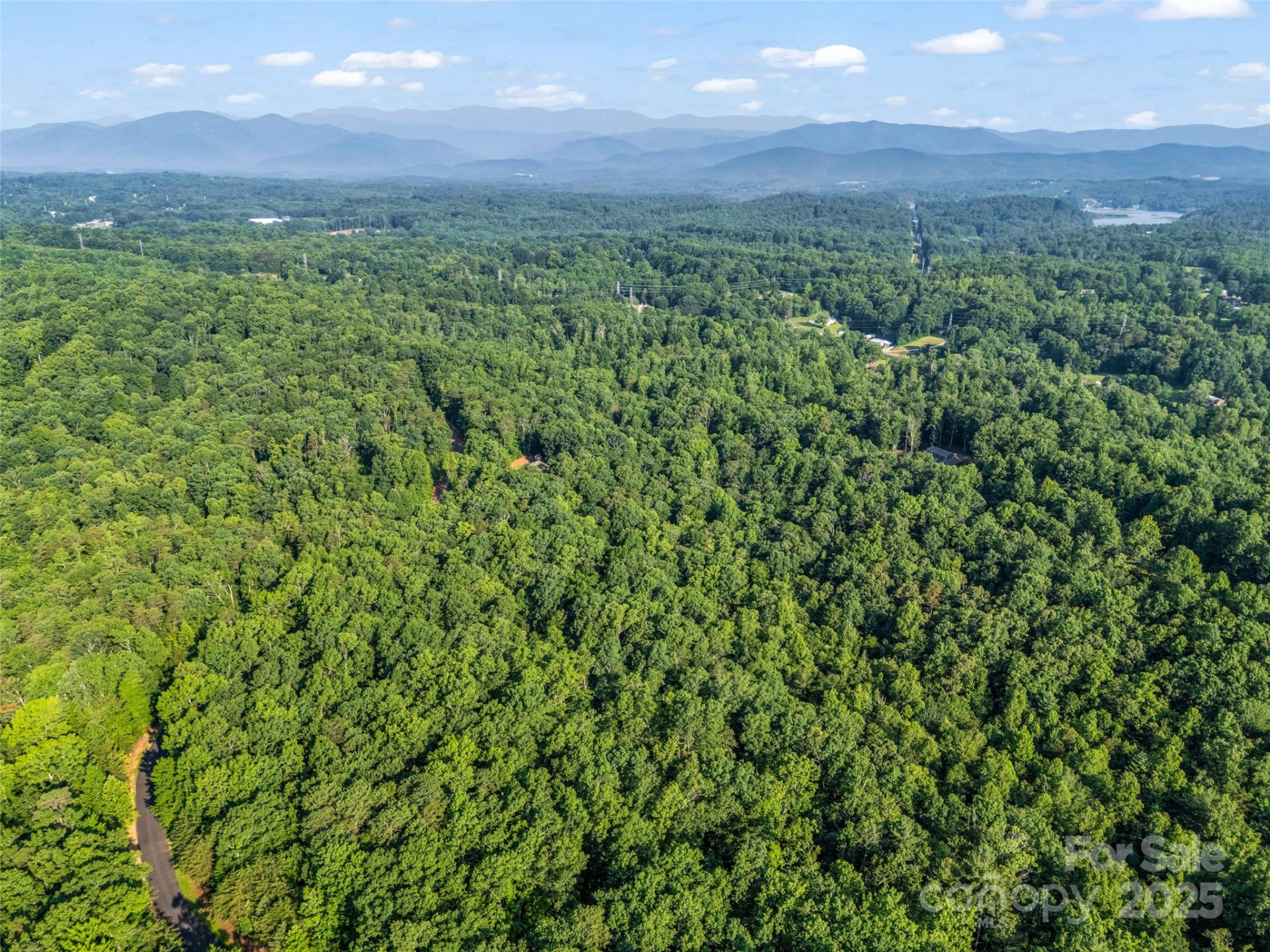 0 Forest Country Drive #Lot 49 - Photo 15