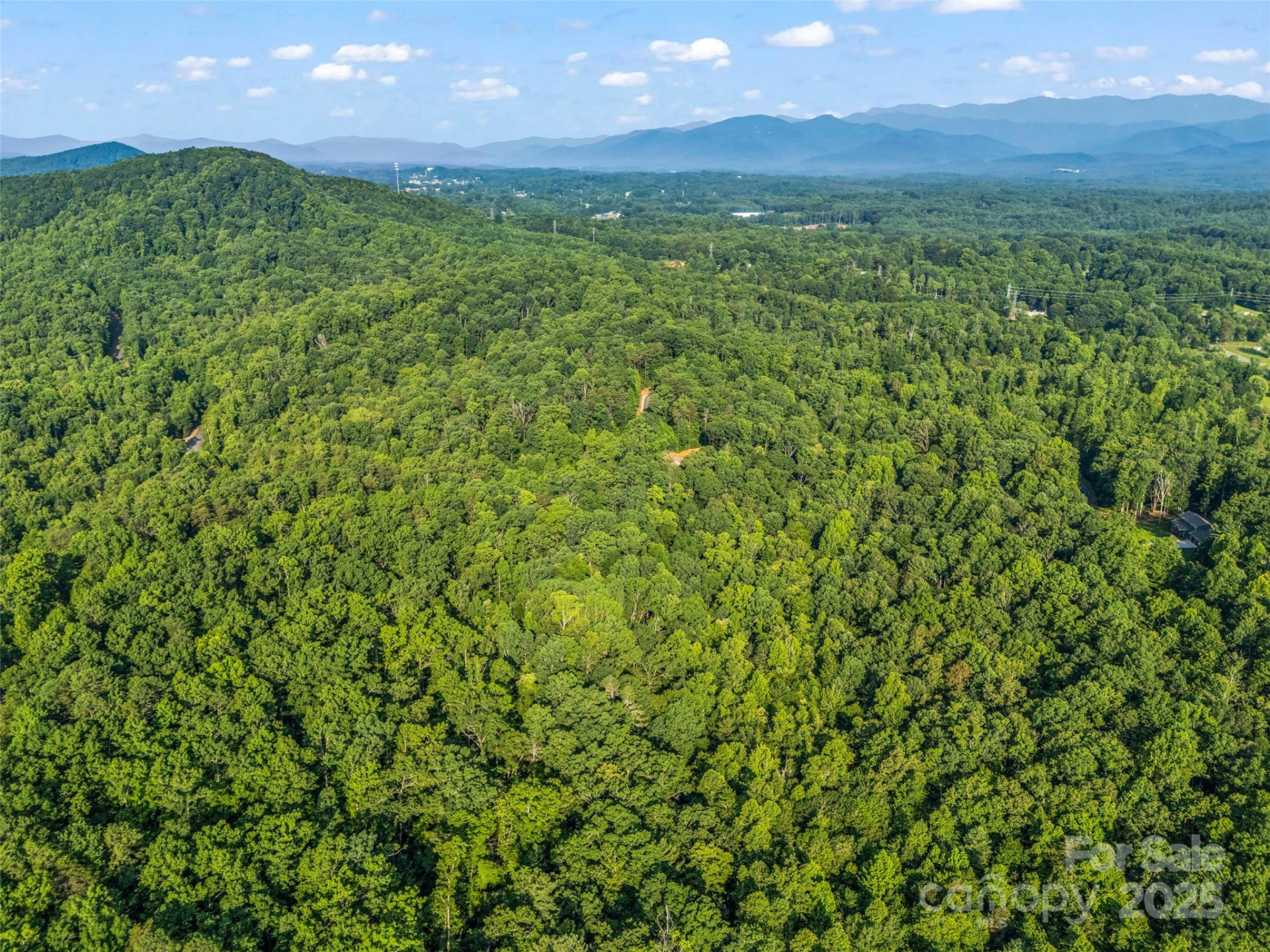 0 Forest Country Drive #Lot 49 - Photo 16